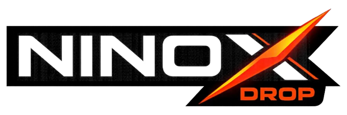 logo ninox.03 (1)